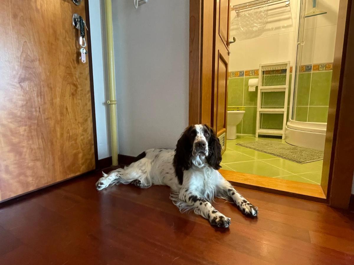 Old Lady Opatija Apartman Kültér fotó